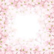 Vector background with pink apple flowers eps-10