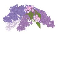 Greeting Card with Blooming Lilac and Apple Tree Twigs