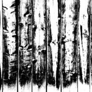 Wooden texture background Realistic plank Vector illustration N4
