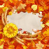 Colorful leaves background EPS 10 N19