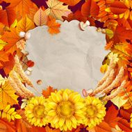 Colorful leaves background EPS 10 N21