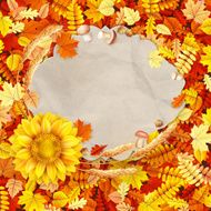 Colorful leaves background EPS 10 N23