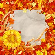Colorful leaves background EPS 10 N24