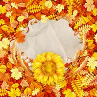 Colorful leaves background EPS 10 N25