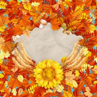 Colorful leaves background EPS 10 N26