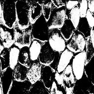 Brick wall of the house with lines a laying N2