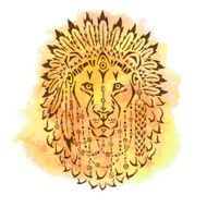 Lion in war bonnet hand drawn animal illustration N2
