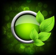 Leaves Design N4
