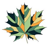 Maple Leaf N24