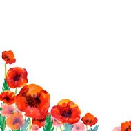 White background with watercolor poppies and copy space