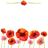 White background with watercolor poppies and copy space N2