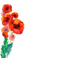 White background with watercolor poppies and copy space N3