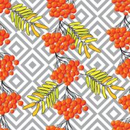 Seamless pattern with rowanberry