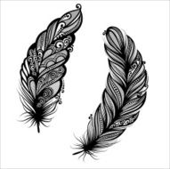 Peerless Decorative Feather (Vector)
