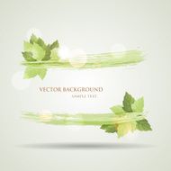 Sunny summer banner with green leaves