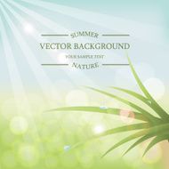 Vector summer background with sunlight