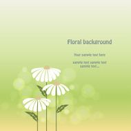 Vector floral summer Chamomile background