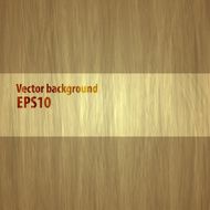 Vector abstract grunge background Wooden texture