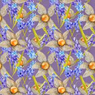 Provence Watercolor Pattern with Muskari and Physalis