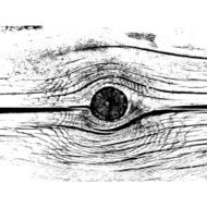 Wooden texture background Realistic plank Vector illustration N7