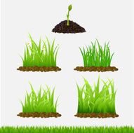 Green grass collection