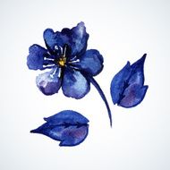 Blue watercolor flower