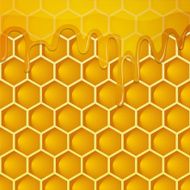 Honeycomb with honey Vector background