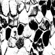 Ancient stone wall background vector illustratuin N3