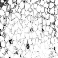 Ancient stone wall background vector illustratuin N4