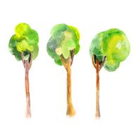 three different trees