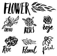 Set of floral design elements N13