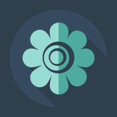 Flat modern design with shadow icon flower N24