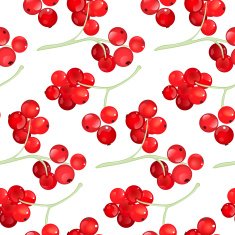 Red currant seamless pattern N2