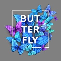 Vector butterflies background design N3