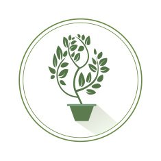 Green tree on a white background vector