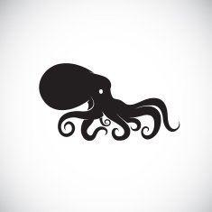 Vector image of an octopus on white background