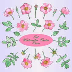 Set with Hand Drawn Watercolor Roses and leaves