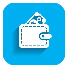 Wallet Icon N10
