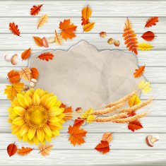Colorful leaves background EPS 10 N8
