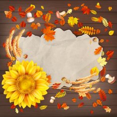 Colorful leaves background EPS 10 N9