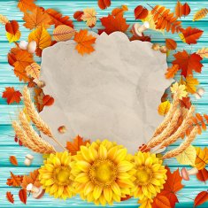 Colorful leaves background EPS 10 N10