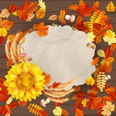 Colorful leaves background EPS 10 N11