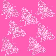 Pattern of butterflies N5