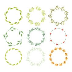 Vector floral set