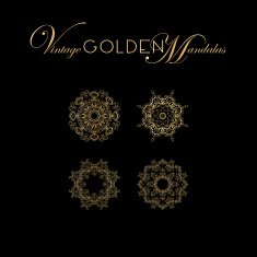 Vintage Golden mandala design Vector illustration set For napk N3