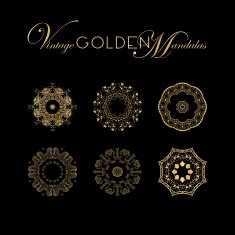 Vintage Golden mandala design Vector illustration set For napk N5
