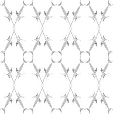 Fish Skeleton N19