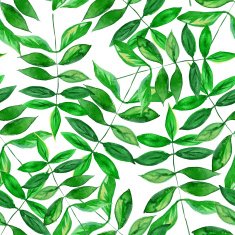 Seamless watercolor green leaves pattern with white background N4