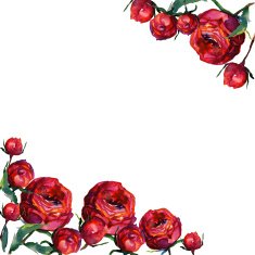 Pattern with red fragile roses and copy space