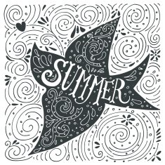 Hand drawn summer print with a bird and hand lettering N2